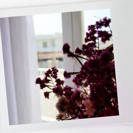 Le Nuage Bed & Breakfast 4*